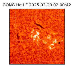 gong - 2025-03-20T02:00:42