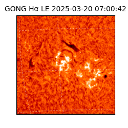 gong - 2025-03-20T07:00:42