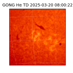 gong - 2025-03-20T08:00:22