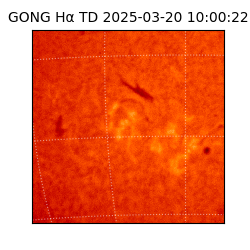 gong - 2025-03-20T10:00:22