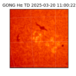 gong - 2025-03-20T11:00:22