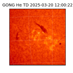 gong - 2025-03-20T12:00:22