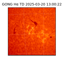 gong - 2025-03-20T13:00:22