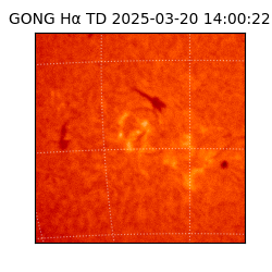 gong - 2025-03-20T14:00:22