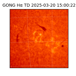 gong - 2025-03-20T15:00:22