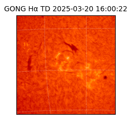 gong - 2025-03-20T16:00:22