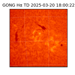 gong - 2025-03-20T18:00:22