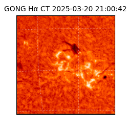 gong - 2025-03-20T21:00:42