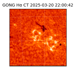 gong - 2025-03-20T22:00:42