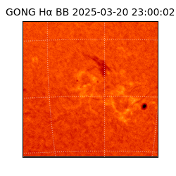 gong - 2025-03-20T23:00:02