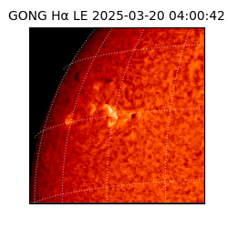 gong - 2025-03-20T04:00:42