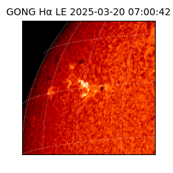 gong - 2025-03-20T07:00:42