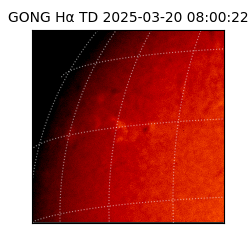 gong - 2025-03-20T08:00:22