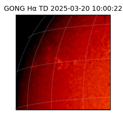 gong - 2025-03-20T10:00:22