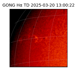 gong - 2025-03-20T13:00:22