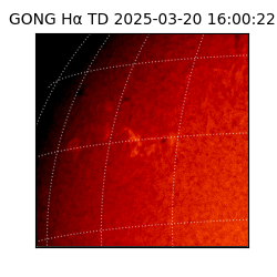 gong - 2025-03-20T16:00:22