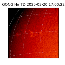 gong - 2025-03-20T17:00:22