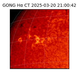 gong - 2025-03-20T21:00:42