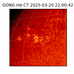 gong - 2025-03-20T22:00:42