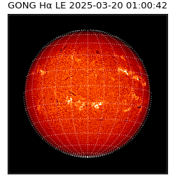 gong - 2025-03-20T01:00:42