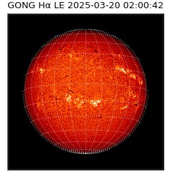 gong - 2025-03-20T02:00:42