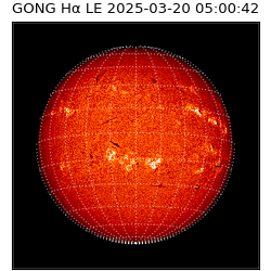gong - 2025-03-20T05:00:42