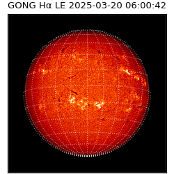 gong - 2025-03-20T06:00:42