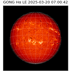 gong - 2025-03-20T07:00:42