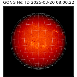 gong - 2025-03-20T08:00:22
