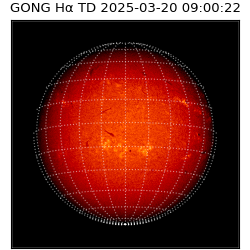 gong - 2025-03-20T09:00:22