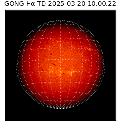 gong - 2025-03-20T10:00:22