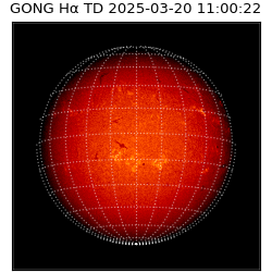gong - 2025-03-20T11:00:22