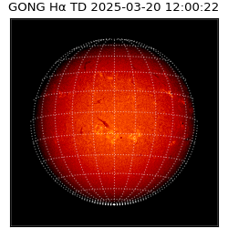gong - 2025-03-20T12:00:22