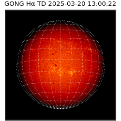 gong - 2025-03-20T13:00:22