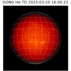 gong - 2025-03-20T16:00:22