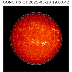 gong - 2025-03-20T19:00:42