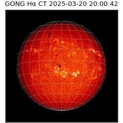 gong - 2025-03-20T20:00:42
