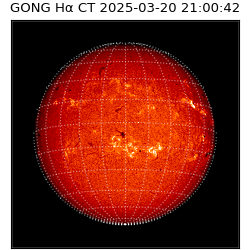 gong - 2025-03-20T21:00:42