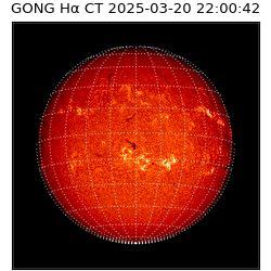 gong - 2025-03-20T22:00:42