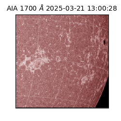 saia - 2025-03-21T13:00:28.717000