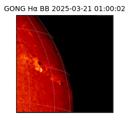 gong - 2025-03-21T01:00:02