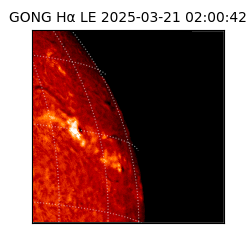 gong - 2025-03-21T02:00:42