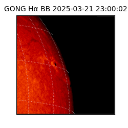 gong - 2025-03-21T23:00:02