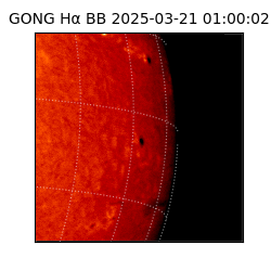 gong - 2025-03-21T01:00:02