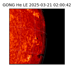 gong - 2025-03-21T02:00:42