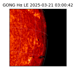 gong - 2025-03-21T03:00:42