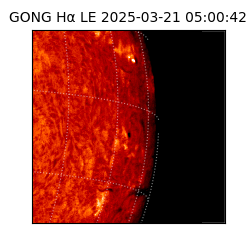 gong - 2025-03-21T05:00:42