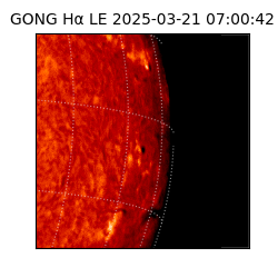 gong - 2025-03-21T07:00:42