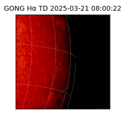 gong - 2025-03-21T08:00:22