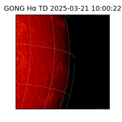 gong - 2025-03-21T10:00:22